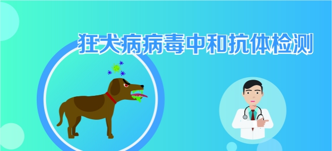 ȮкͿ