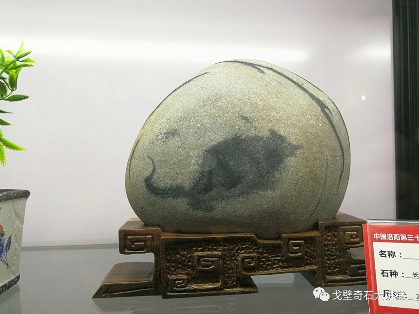 2021年,洛阳,黄河流域九省区赏石文化博览会_乾隆奇石