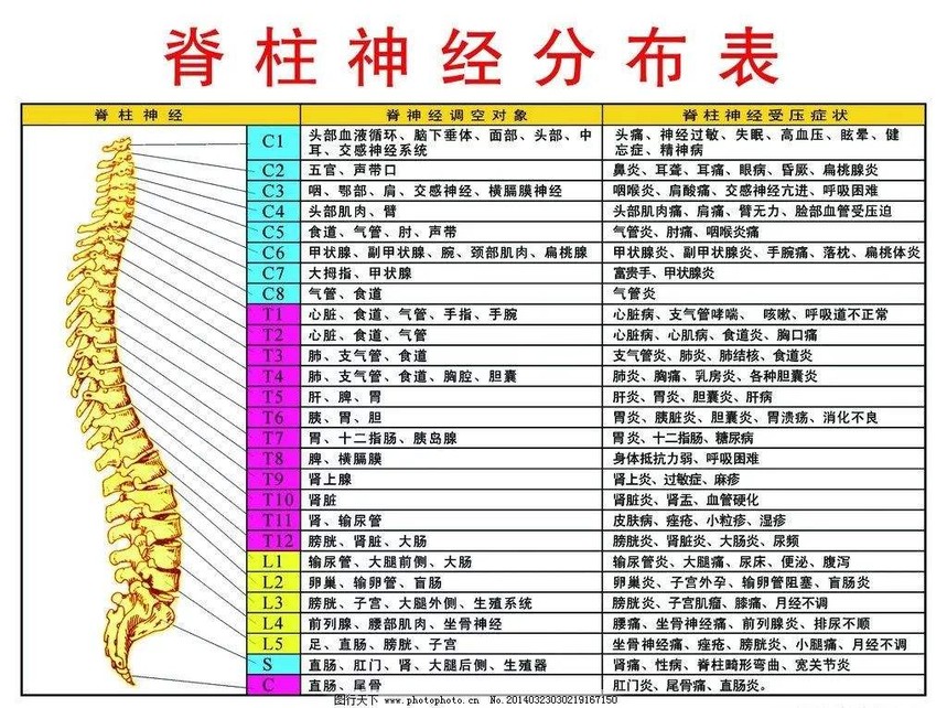 失眠,头疼,颈肩腰腿痛---都是脊柱惹的祸