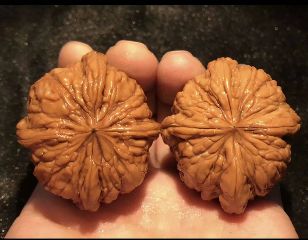 文玩核桃中的那些不多见的四棱