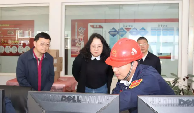 自然资源部法规司司长魏莉华到驰宏会泽冶炼调研指导