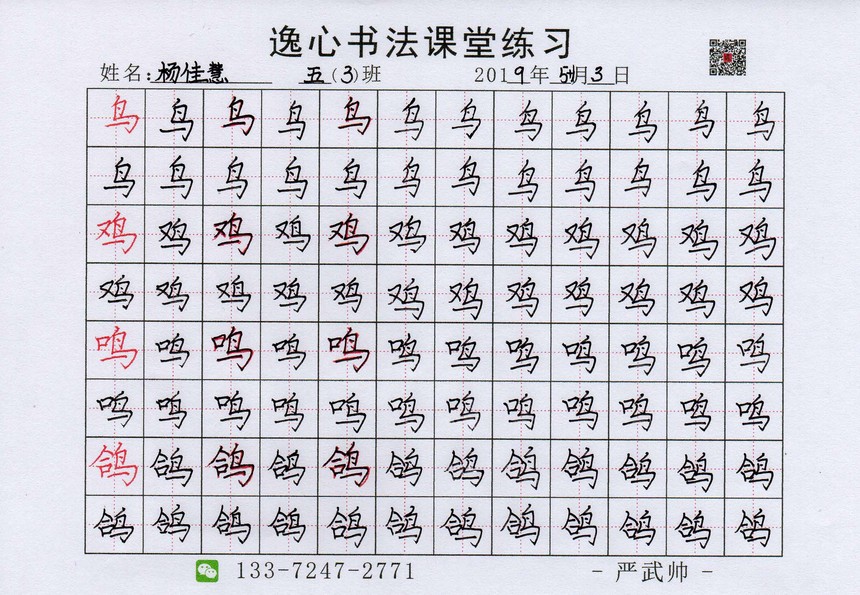 丁字桥巷 五(3)班书法课堂练习 鸟字旁