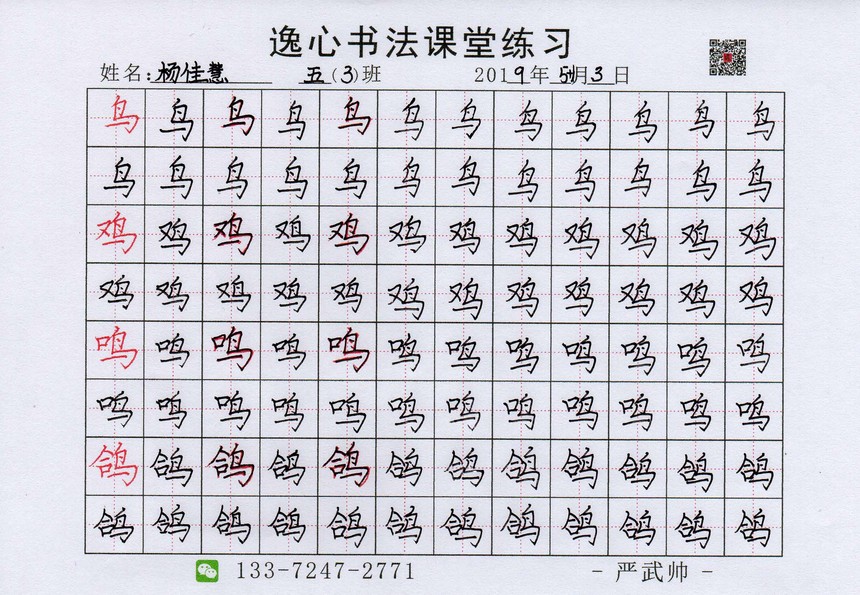 丁字桥巷 五(3)班书法课堂练习 鸟字旁