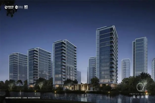 凤起潮鸣.webp.jpg