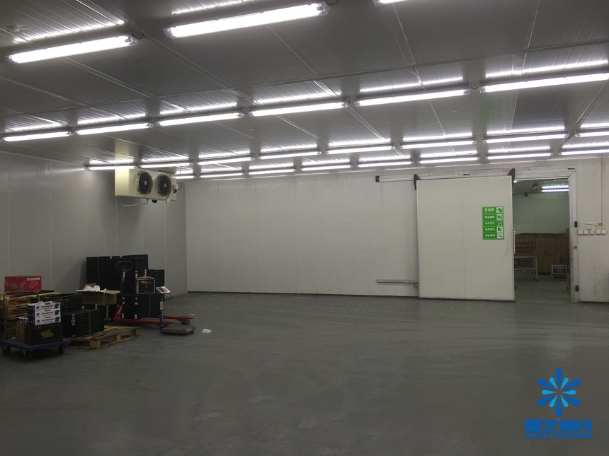 建一个50吨左右的桃子保鲜库造价多少
