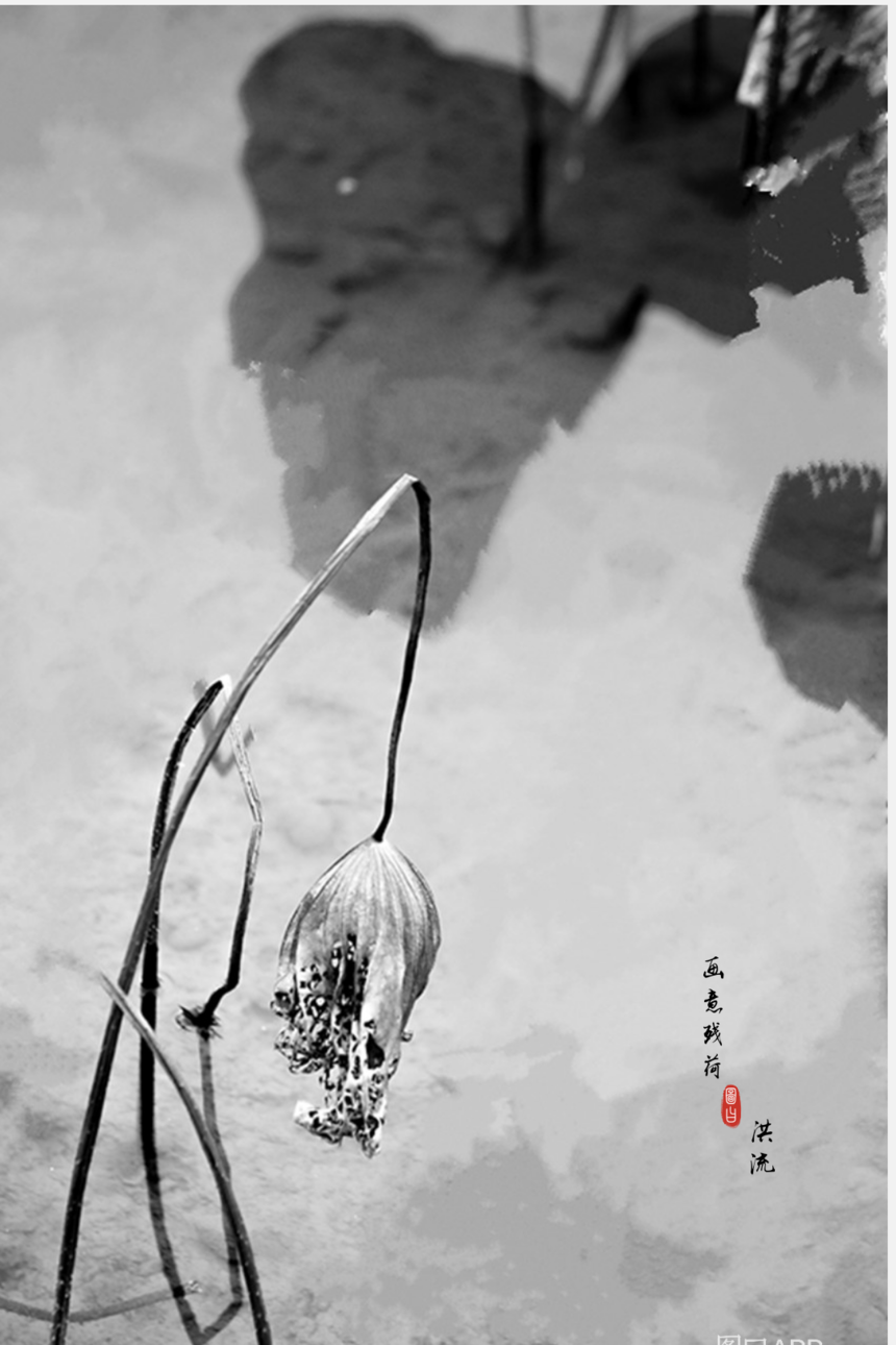 画意残荷
