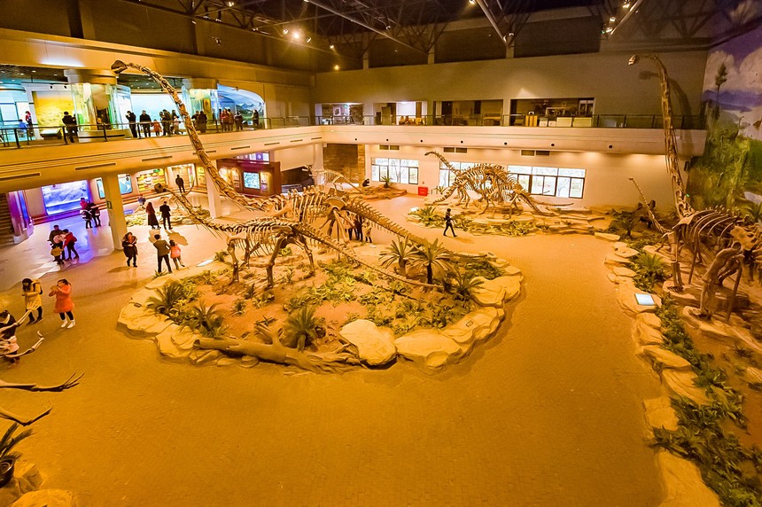 6恐龙博物馆展厅(摄影 廖志全.jpg