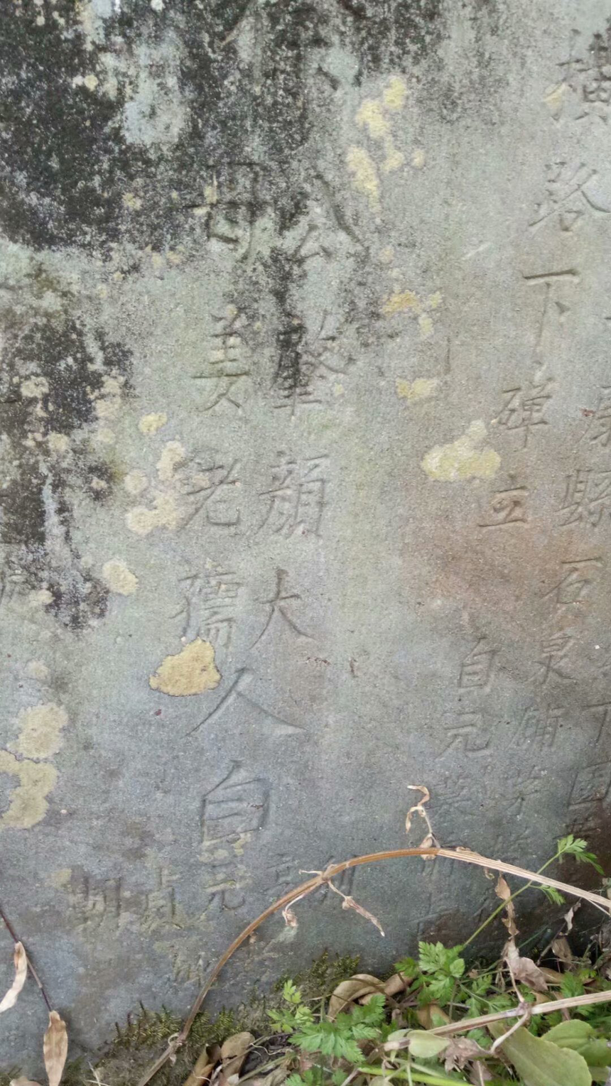 徐肇颜支下-安康市瀛湖镇(玉岚乡前丰村)徐家寨子