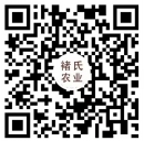 首頁