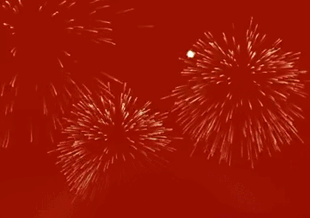 愿您新年一切顺遂,平安喜乐.