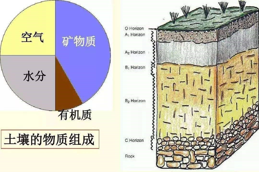 土壤科学