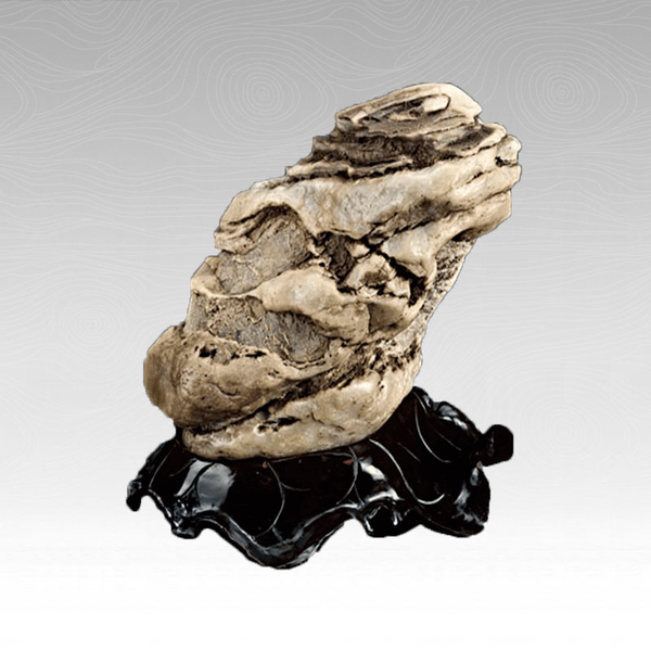 奇石藏馆: 秦岭石博物馆 奇石尺寸: 42x39x28cm 区域选择: 陕西 奇石