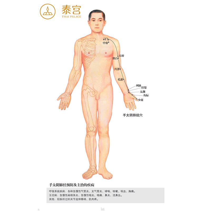 北京泰宫健康小课堂:手太阴肺经是什么,调理手太阴肺经有什么作用?