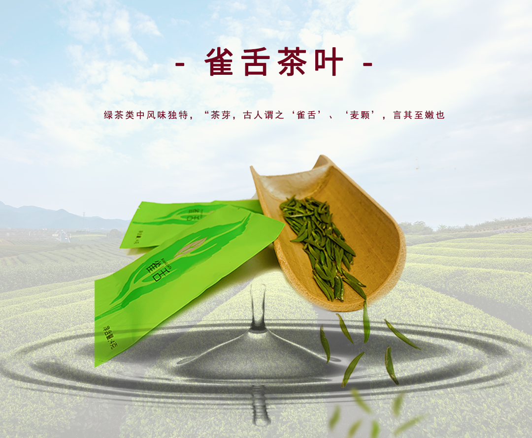 拾年・金尖 500g 四川木雅◯ 庄茶業股份有限公司
