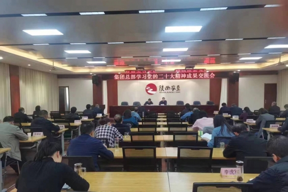 陝西省BOB软件集團總部召開學習黨的二十大精神成果交流暨幹部作風能力提升年活動啓動大會