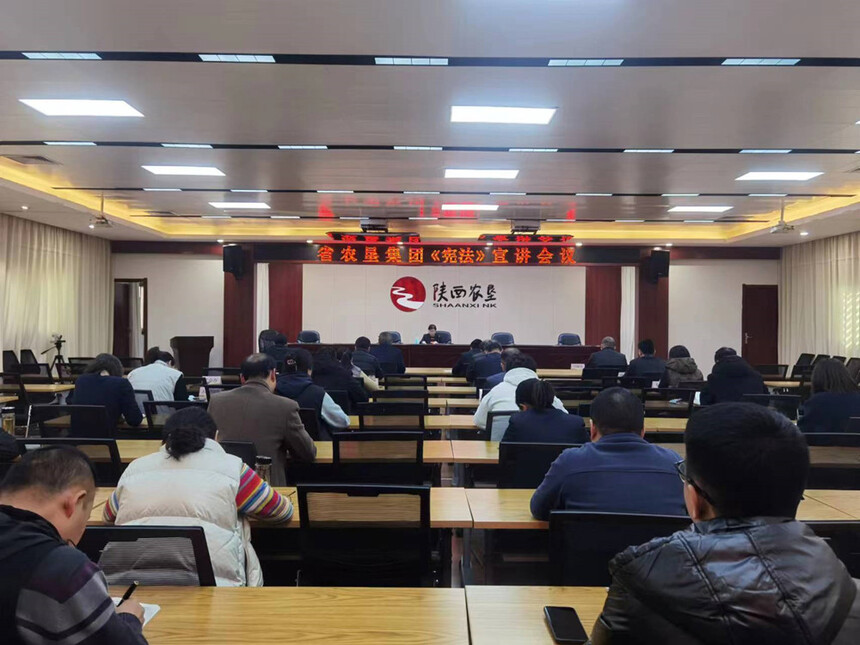 憲法11.jpg