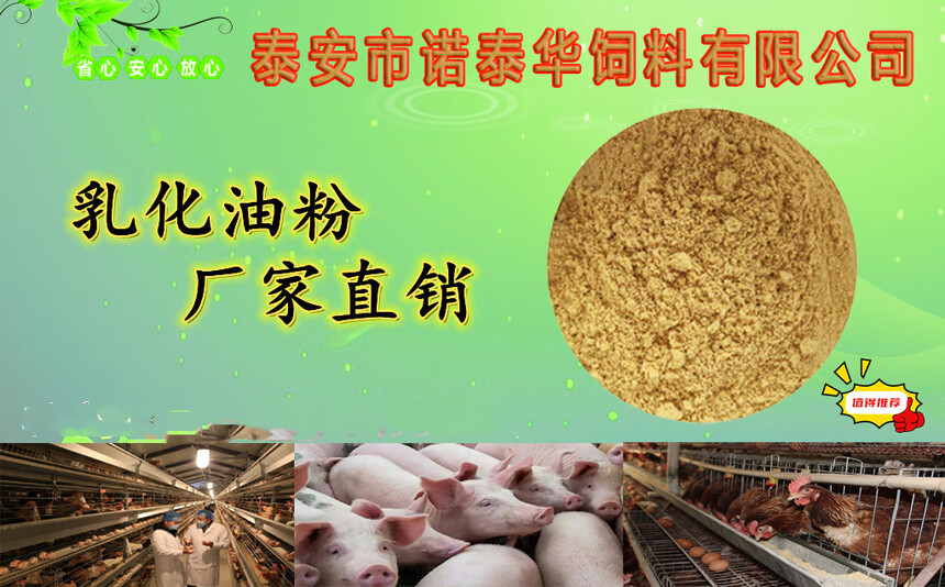 乳化油粉1 拷贝_副本.jpg