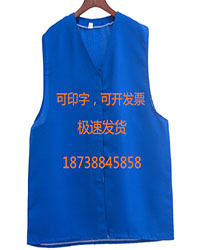 监狱看守所拘留所常规款蓝色马甲