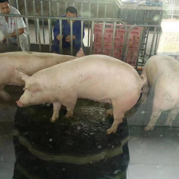 微信图片_202303151532263.jpg