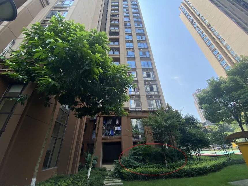 640.jpg