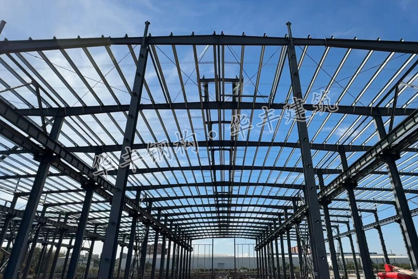 1764809902376049.jpg 1203.jpg