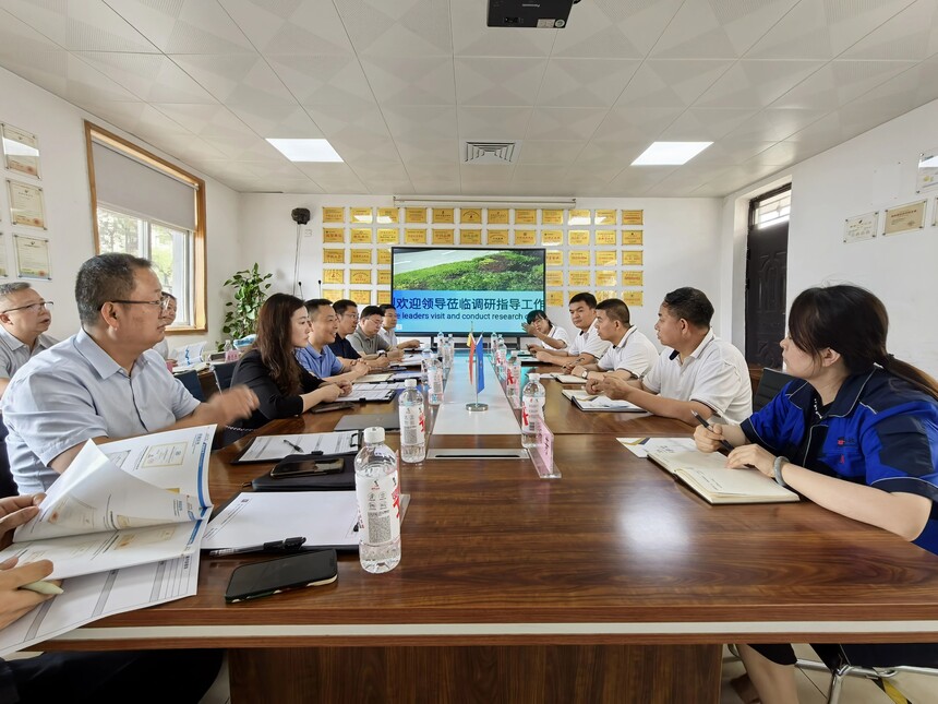 1748411651194734.jpg 0001111116_675.jpg