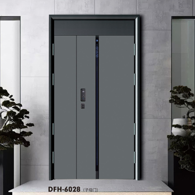 DFH-6028(子母)