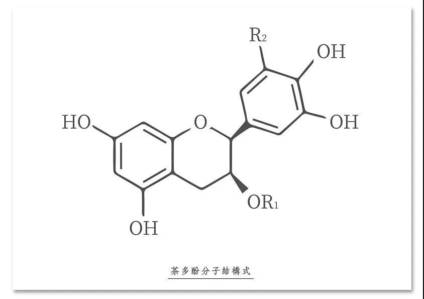 茶叶主要保健功效的五种内含物质