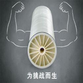 陶氏富耐CR100反滲透