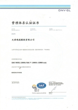 ISO 9001