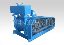 2BE253 液環(huán)真空泵