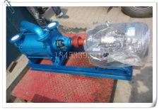 2SK-6兩級水環(huán)真空泵