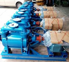 sk-12水環(huán)真空泵