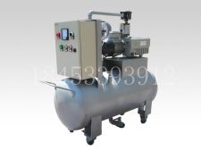 新式旋片式真空泵