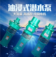 博焱泵業(yè)QY油浸式潛水泵