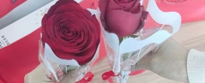 女神节