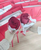 女神节