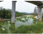 蓝色硅谷核心区尼姑山河(含支流西绕山河)