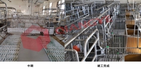 強野相變儲熱器助力養殖項目