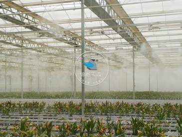 甘肅蘭州新區農投花卉產業(yè)基地噴霧降溫加濕項目