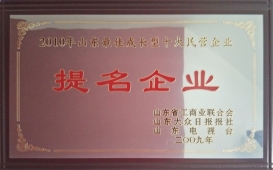 山東十大成長型民營企業