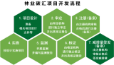 林業(yè)碳匯開發(fā)流程