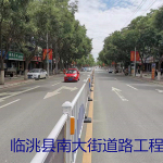臨洮縣南大街道路工程