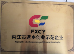 返鄉(xiāng)創(chuàng)業(yè)示范企業(yè)