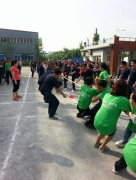 拔河比賽