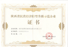 陜西省民營經濟轉型升級示范企業證書