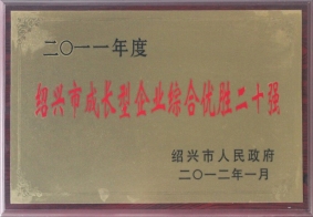 2011年度紹興市成長型企業(yè)綜合優(yōu)勝二十