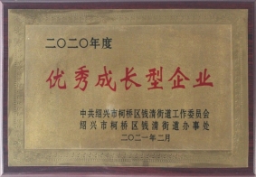 2020年度優(yōu)秀成長型企業(yè)