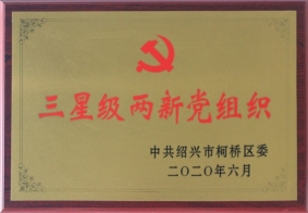 2020年度三星級兩新黨組織