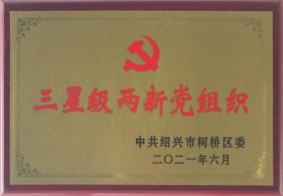 2021年度三星級兩新黨組織